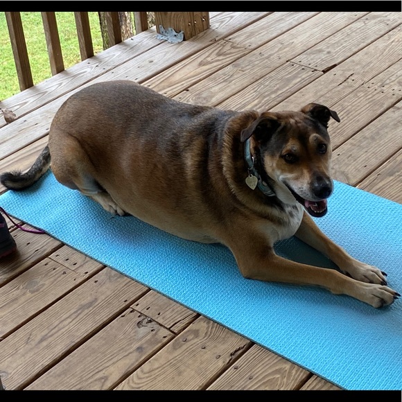 Ace's Outlet - Picture 4 of 4